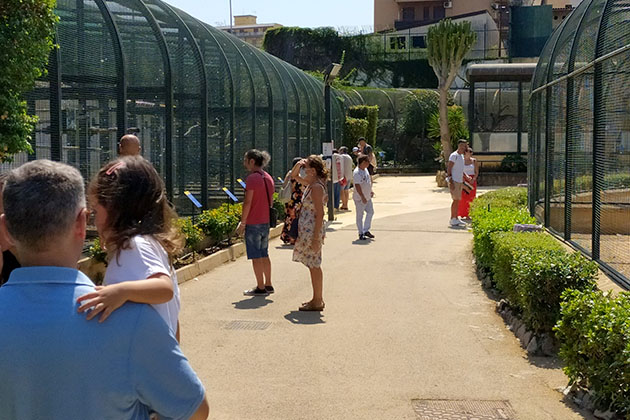 Giardini di Palazzo Orléans: oltre 30 mila visitatori in un mese